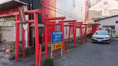 紋三郎稲荷神社の鳥居