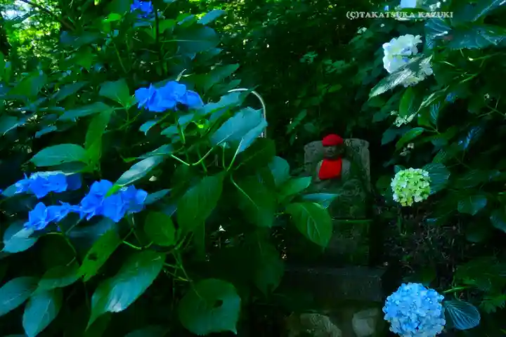 高幡不動尊 金剛寺(東京都)