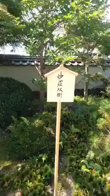 松巌寺のその他建物
