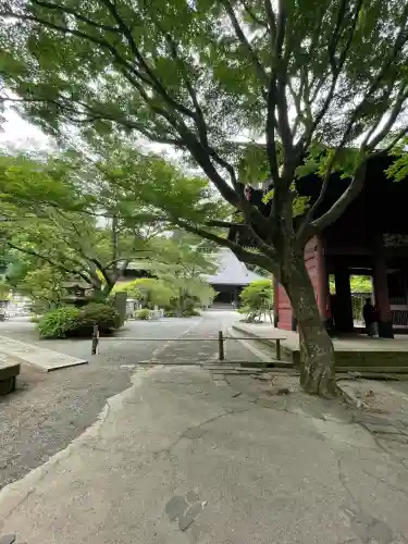 妙本寺の{uncategorized: "未分類", other: "その他", undefined: "問題あり", building: "その他建物", grave: "お墓", sacred_gate: "鳥居", guardian: "狛犬", statue: "像", buddha: "仏像", history: "歴史", nature: "自然", garden: "庭園", animal: "動物", pagoda: "塔", temizu: "手水舎", mountain_gate: "山門・神門", sanctuary: "本殿・本堂", subordinate: "末社・摂社", art: "芸術", scenery: "景色", jizo: "地蔵", ema: "絵馬", goshuin: "御朱印", omikuji: "おみくじ", items: "授与品その他", amulet: "お守り", goshuincho: "御朱印帳", eats: "食事", festival: "お祭り", votive_dance: "神楽", shichigosan: "七五三参", wedding: "結婚式", experience: "体験その他", initially: "初詣", around: "周辺", anti_infection: "感染症対策"}