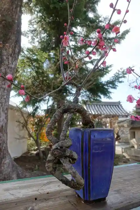 菅原天満宮(菅原神社)の庭園