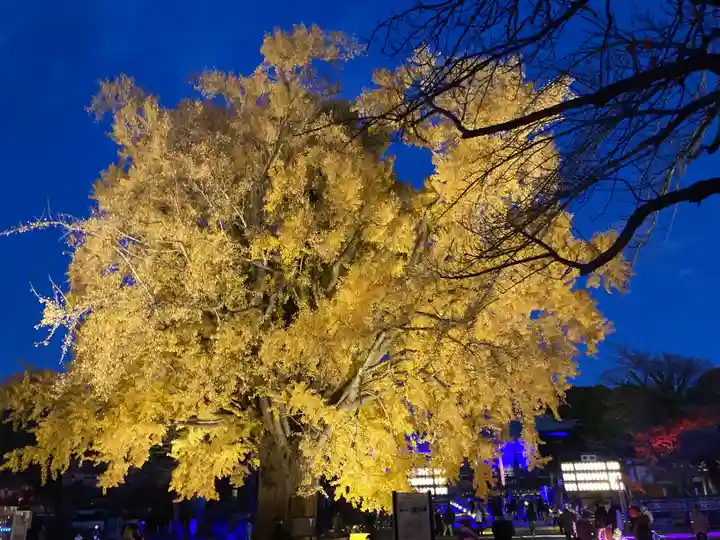 時宗総本山 遊行寺(正式:清浄光寺)(神奈川県)