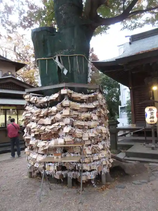 松戸神社の絵馬