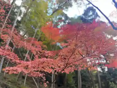 真珠院(神峯山寺塔頭)(大阪府)