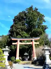 河口浅間神社の鳥居