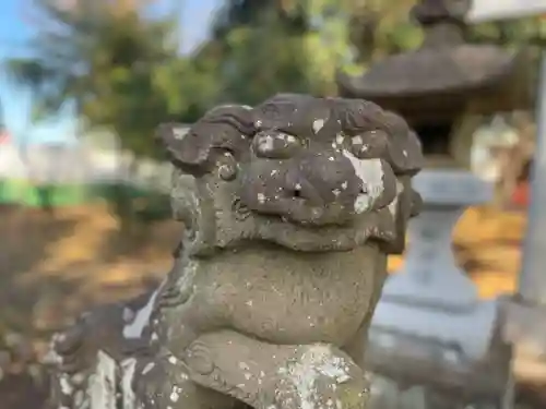 御嶽神社  （上矢部）の狛犬