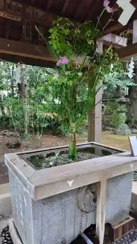 赤坂氷川神社(東京都)