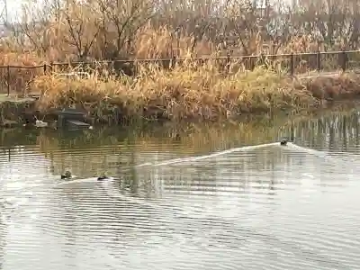 鞆江神社（明地）(愛知県)