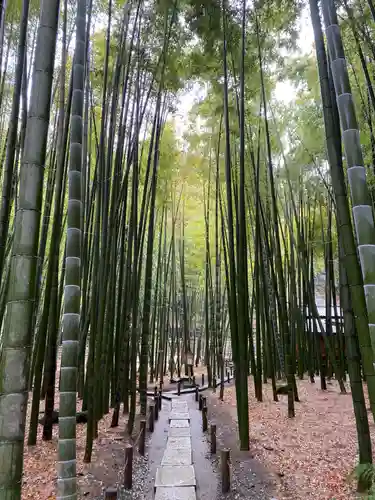 報国寺のその他建物