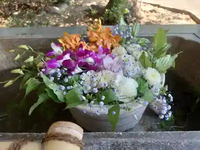 狭山八幡神社(埼玉県)