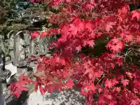 長圓寺の{uncategorized: "未分類", other: "その他", undefined: "問題あり", building: "その他建物", grave: "お墓", sacred_gate: "鳥居", guardian: "狛犬", statue: "像", buddha: "仏像", history: "歴史", nature: "自然", garden: "庭園", animal: "動物", pagoda: "塔", temizu: "手水舎", mountain_gate: "山門・神門", sanctuary: "本殿・本堂", subordinate: "末社・摂社", art: "芸術", scenery: "景色", jizo: "地蔵", ema: "絵馬", goshuin: "御朱印", omikuji: "おみくじ", items: "授与品その他", amulet: "お守り", goshuincho: "御朱印帳", eats: "食事", festival: "お祭り", votive_dance: "神楽", shichigosan: "七五三参", wedding: "結婚式", experience: "体験その他", initially: "初詣", around: "周辺", anti_infection: "感染症対策"}