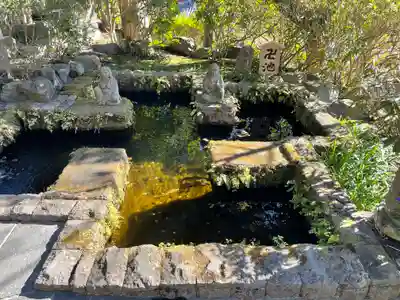 長谷寺(神奈川県)