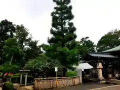 大井神社の庭園