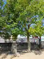 八幡神社(奈良県)