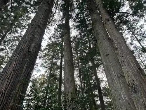 坪沼八幡神社(宮城県)