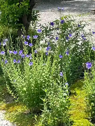 廬山寺（廬山天台講寺）(京都府)
