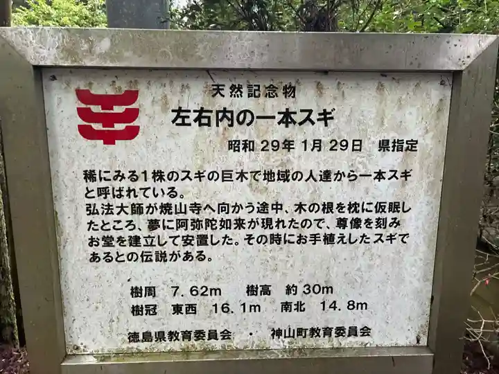 浄蓮庵(徳島県)