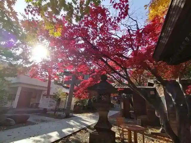 彌彦神社 (伊夜日子神社)のその他建物
