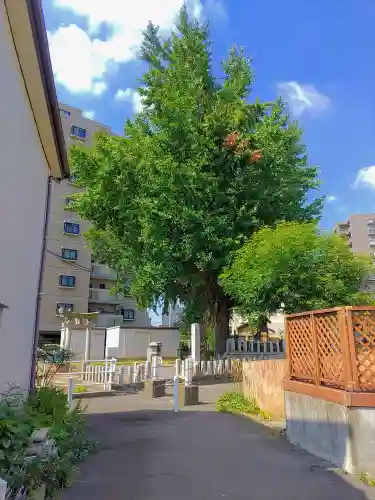 秋葉神社の自然