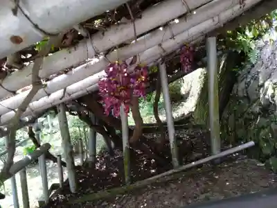 相良寺(熊本県)