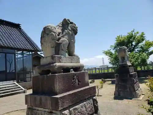 村社江尻神社の狛犬