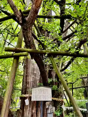 稲毛神社(神奈川県)