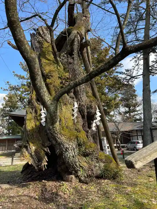 蠶養國神社(福島県)