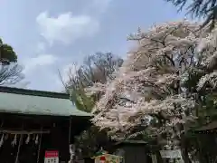 曾屋神社の自然