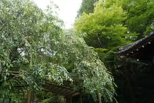 千如寺大悲王院の建物その他