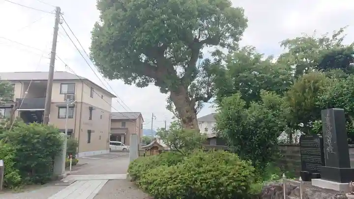 法善寺のその他建物