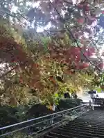 最乗寺(道了尊)のその他建物