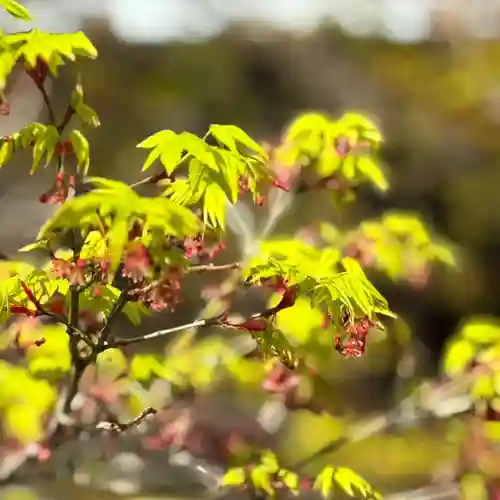 伊勢の国 四天王寺(三重県)