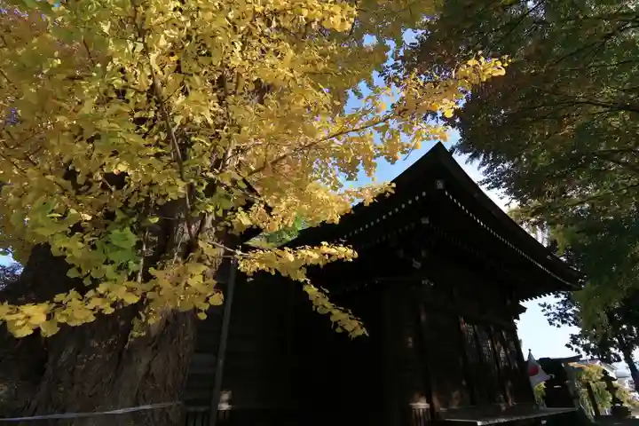 熊野福藏神社の本殿・本堂