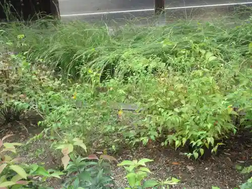 中宮寺(奈良県)