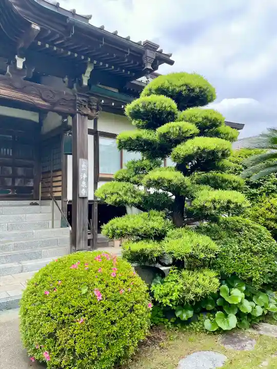 浄泉寺(神奈川県)