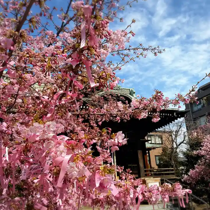桜神宮(東京都)