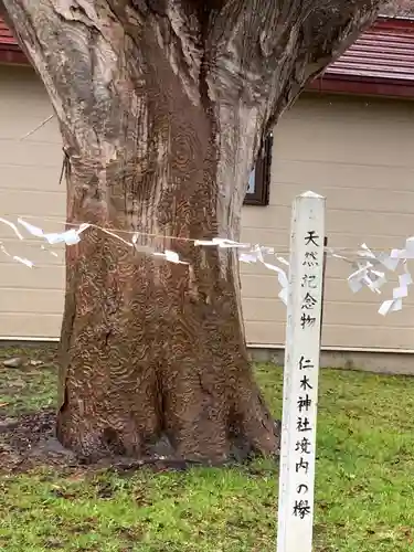 仁木神社の自然