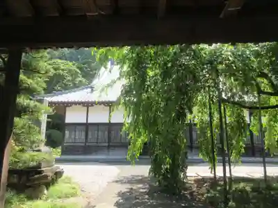 西光寺(埼玉県)
