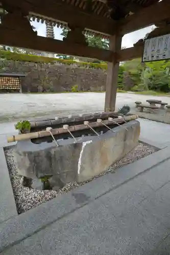 萬勝寺（飯高観音）の手水舎