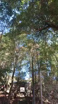 村檜神社(栃木県)