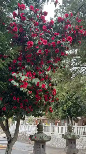 由加神社（和気由加神社）(岡山県)