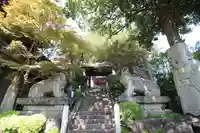 善養寺(善養密寺)(東京都)