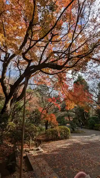 龍安寺(京都府)