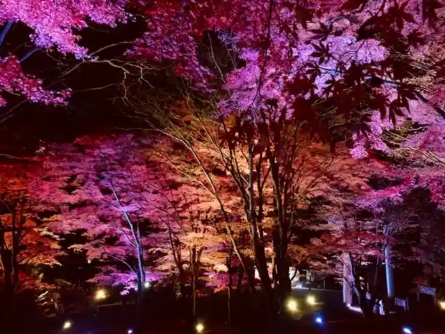 土津神社|こどもと出世の神さまの景色