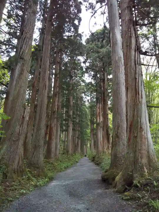 戸隠神社奥社の周辺