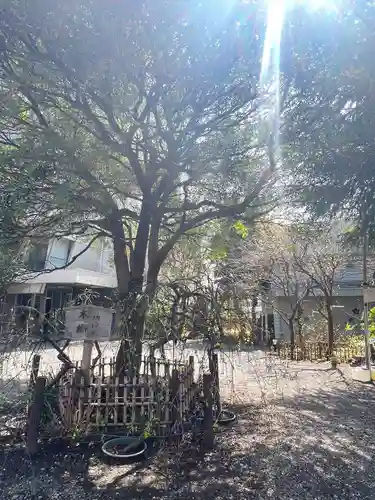 牛天神北野神社(東京都)