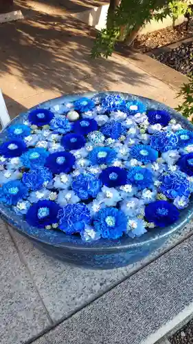 行田八幡神社の手水舎