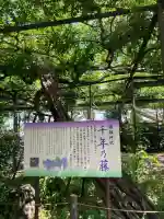 國領神社(東京都)