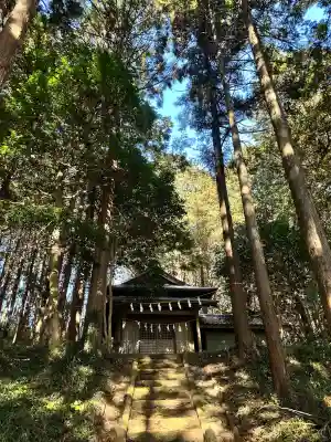 日枝神社(埼玉県)