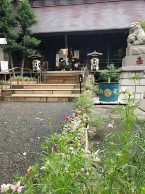 高円寺氷川神社(東京都)